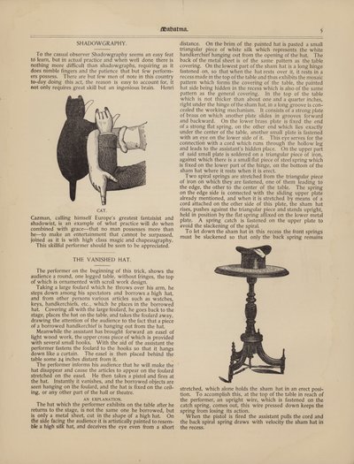 Shadowgraphy, The Cat, The Vanished Hat av American School