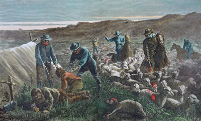 Saueslakting under Pleasant Valley Range War, Arizona av American School
