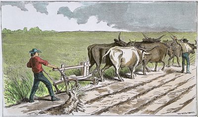 Sodbusters of the American West, ca. 1880 (farget gravering) av American School