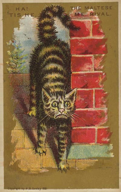 Livredd katt! av American School