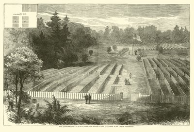 Gravplassen i Andersonville hvor 14 000 unionsfanger ble gravlagt, mai 1865 av American School