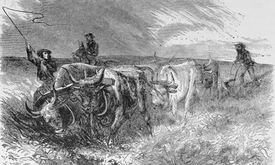 The Prairie Sod Plough, illustrasjon fra 