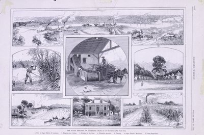 Sukkerindustrien i Louisiana av American School