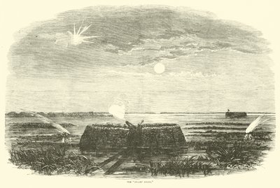 Sumpsengelen, august 1863 av American School