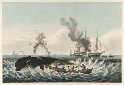 The Whale Fishery - Angripe en "riktig" hval og "Cutting In", pub. 1860 (farge litho) av American School