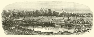 Hvetefeltet der Reynolds falt, juli 1863 av American School