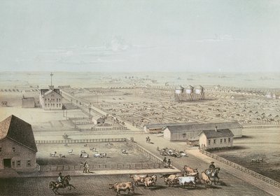 Union Stockyards, Chicago av American School