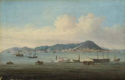 Utsikt over Hong Kong, 1850 av American School