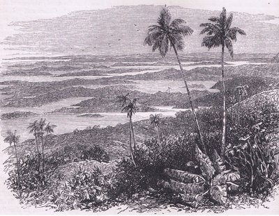 View of the Bermudas, illustrasjon fra Cassell