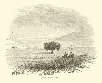 Utsikt på Teche, april 1863 av American School