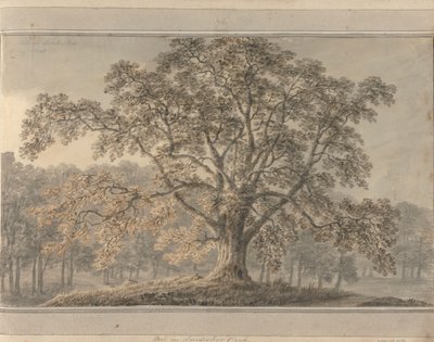 Utsikt i England, Skottland og Wales: Ash i Londesbro Park, mai 1800 av Amos Green