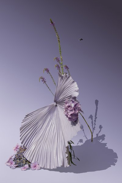  av Ana Carolina Tavares Mizrahi