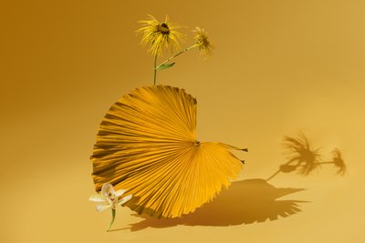 Ikebana 05, 2018 (fotografering) av Ana Carolina Tavares Mizrahi