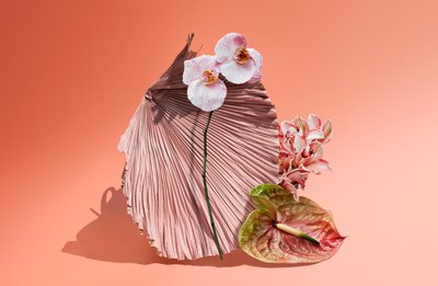  av Ana Carolina Tavares Mizrahi