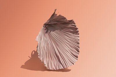  av Ana Carolina Tavares Mizrahi
