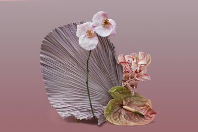  av Ana Carolina Tavares Mizrahi