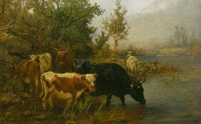 Kyr ved vannet av Anders Askevold