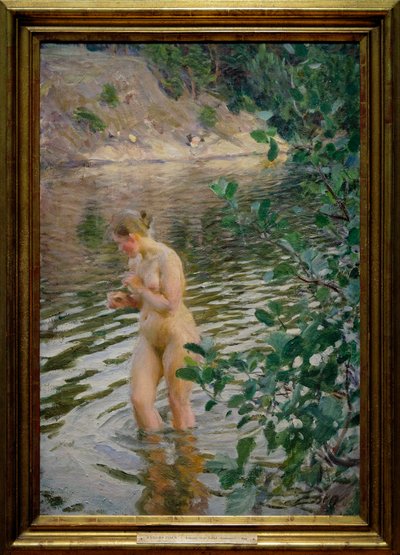 Den kalde strømmen av Anders Leonard Zorn