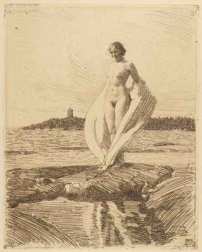 Svanen av Anders Leonard Zorn