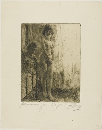 Et mørkt hjørne av Anders Leonard Zorn