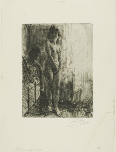 Et mørkt hjørne av Anders Leonard Zorn