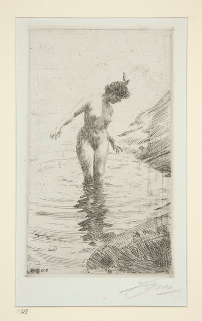 sirkler d av Anders Leonard Zorn