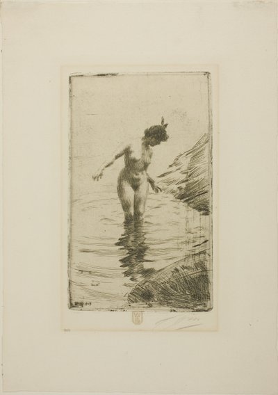  av Anders Zorn