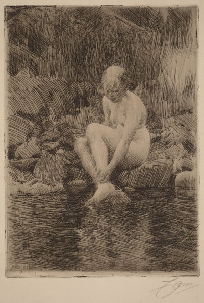  av Anders Zorn