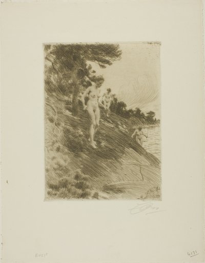 Skremt av Anders Leonard Zorn