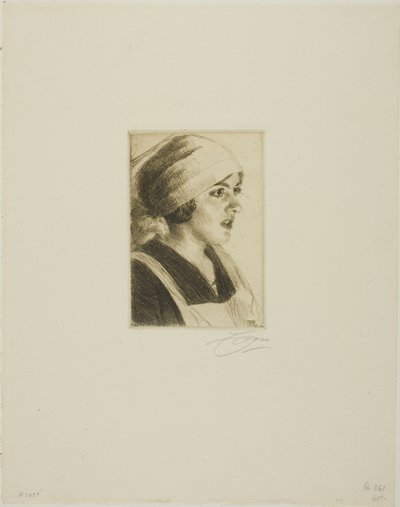Gully I av Anders Leonard Zorn