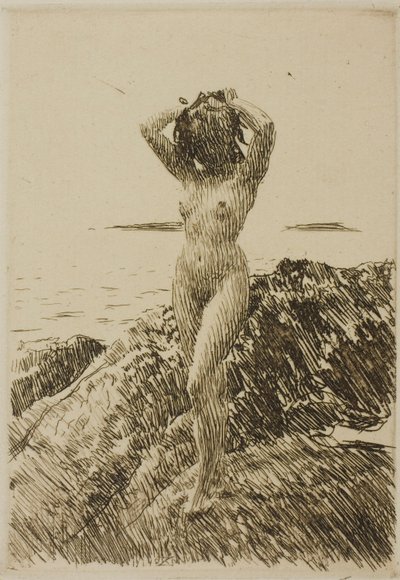 Hårtång (tangkrans) av Anders Zorn