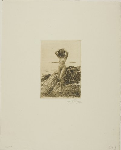 Hårtång (Seawood-krans) av Anders Leonard Zorn