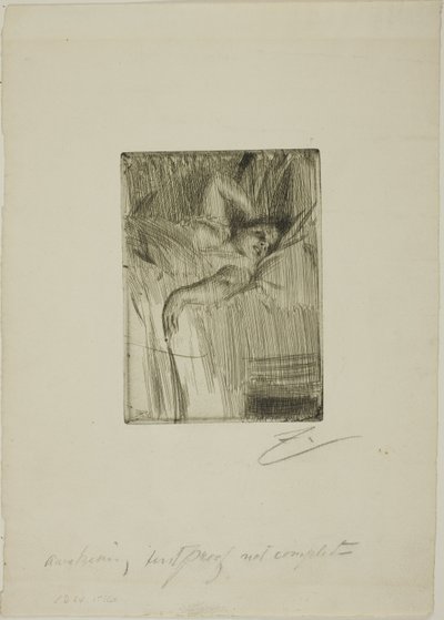 Alarmen av Anders Leonard Zorn