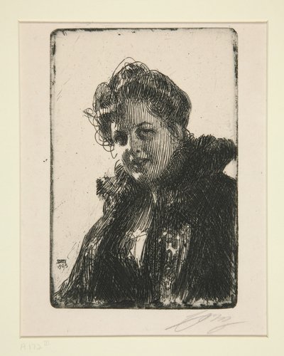  av Anders Zorn