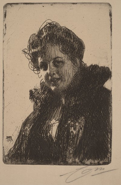  av Anders Zorn