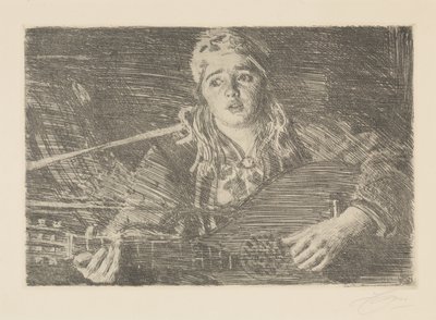  av Anders Zorn