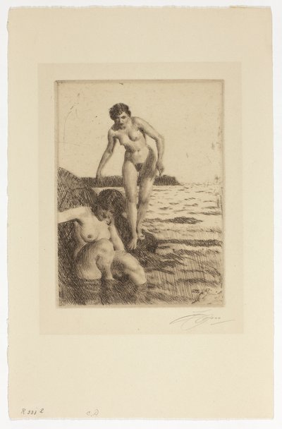 På øya Hemsö av Anders Zorn