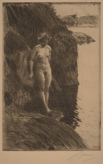  av Anders Zorn