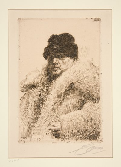  av Anders Zorn