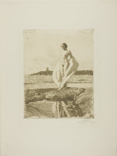 Svanen av Anders Leonard Zorn