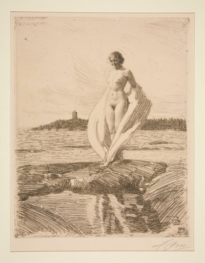 Svanen av Anders Leonard Zorn