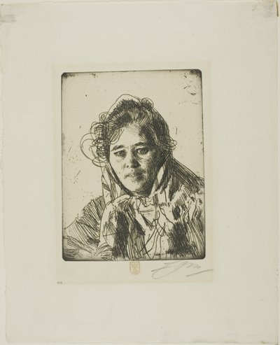  av Anders Zorn