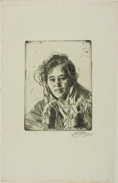  av Anders Zorn