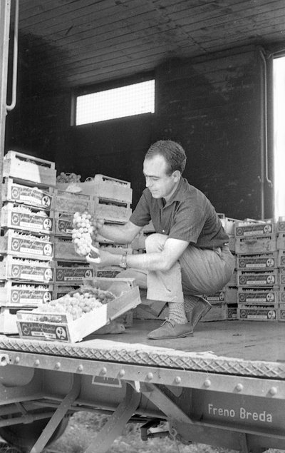 BITRE DRUER - PÅ GODSVOGNEN av Ando Gilardi