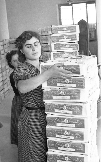 BITTERE DRUER - LAGRING av Ando Gilardi