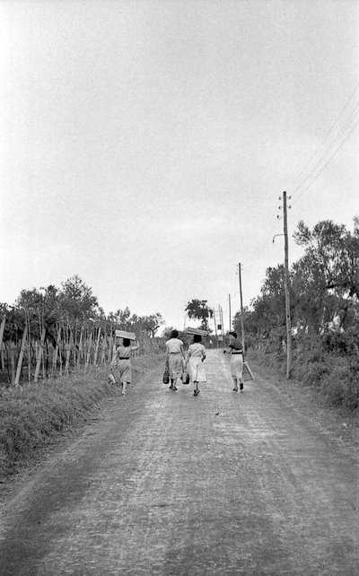 BITRE DRUER – MOT DEN TILDELTE POSTEN av Ando Gilardi