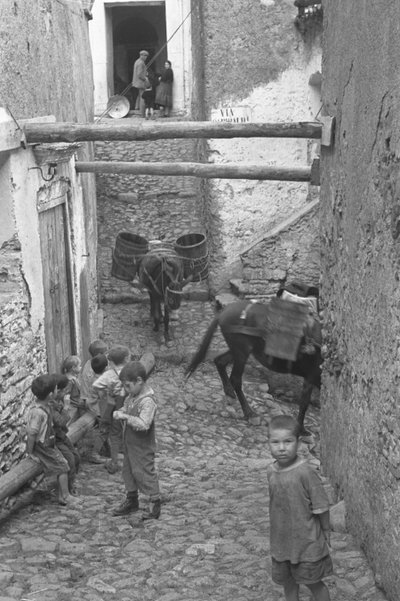 BARN, MELISSA av Ando Gilardi