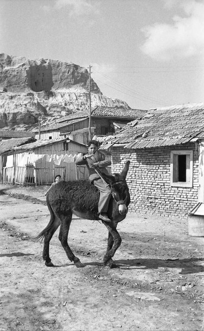 CROTONE - UNG MULEFØRER av Ando Gilardi