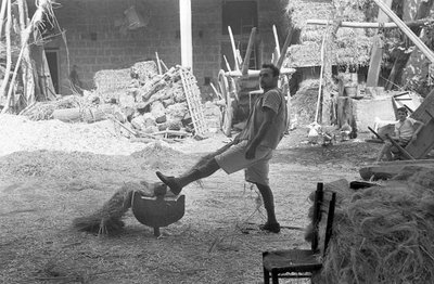 HAMPFORSERING PÅ GÅRDSPLASSEN av Ando Gilardi