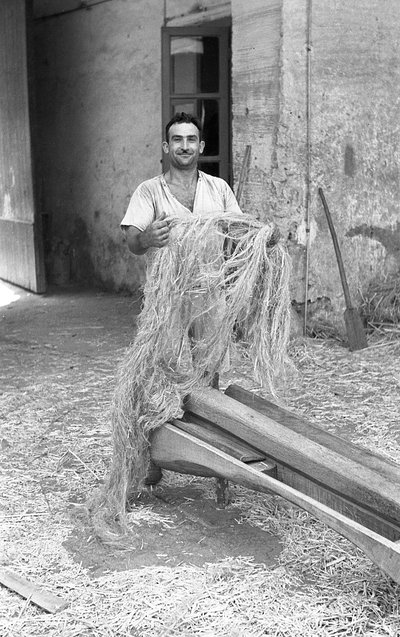  av Ando Gilardi